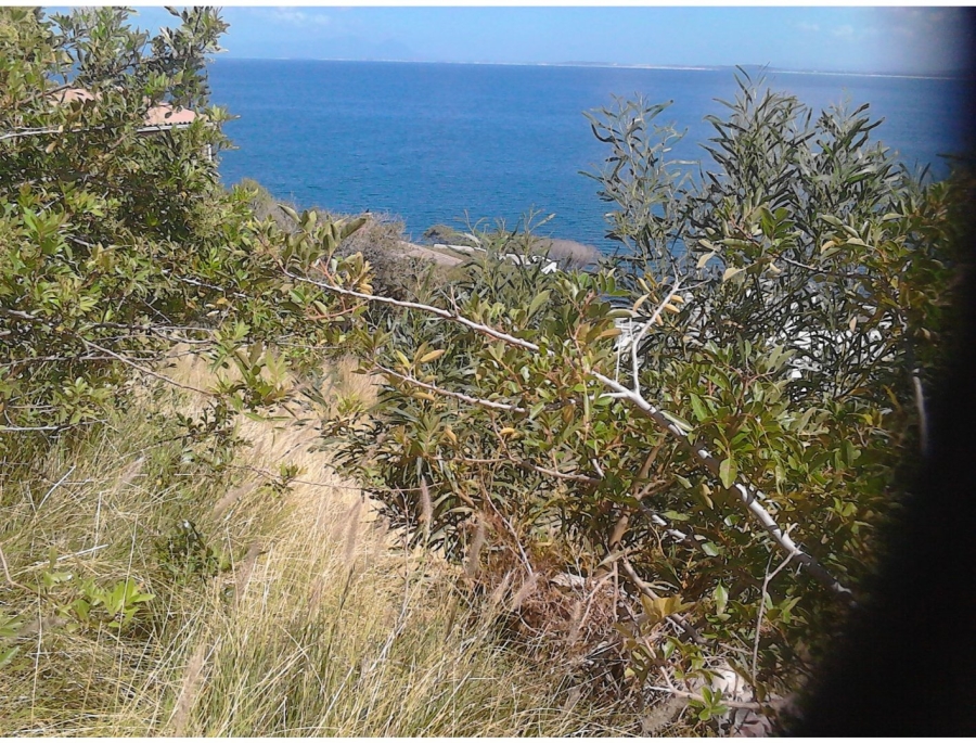 Commercial Property for Sale in Mountainside Western Cape